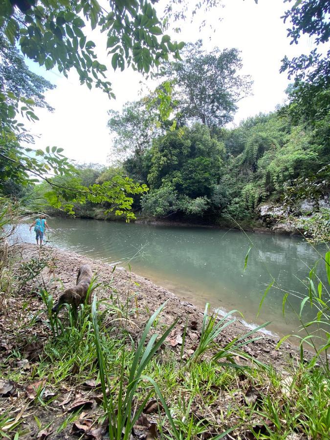 A Piece Of Paradise 圣卡洛斯 外观 照片