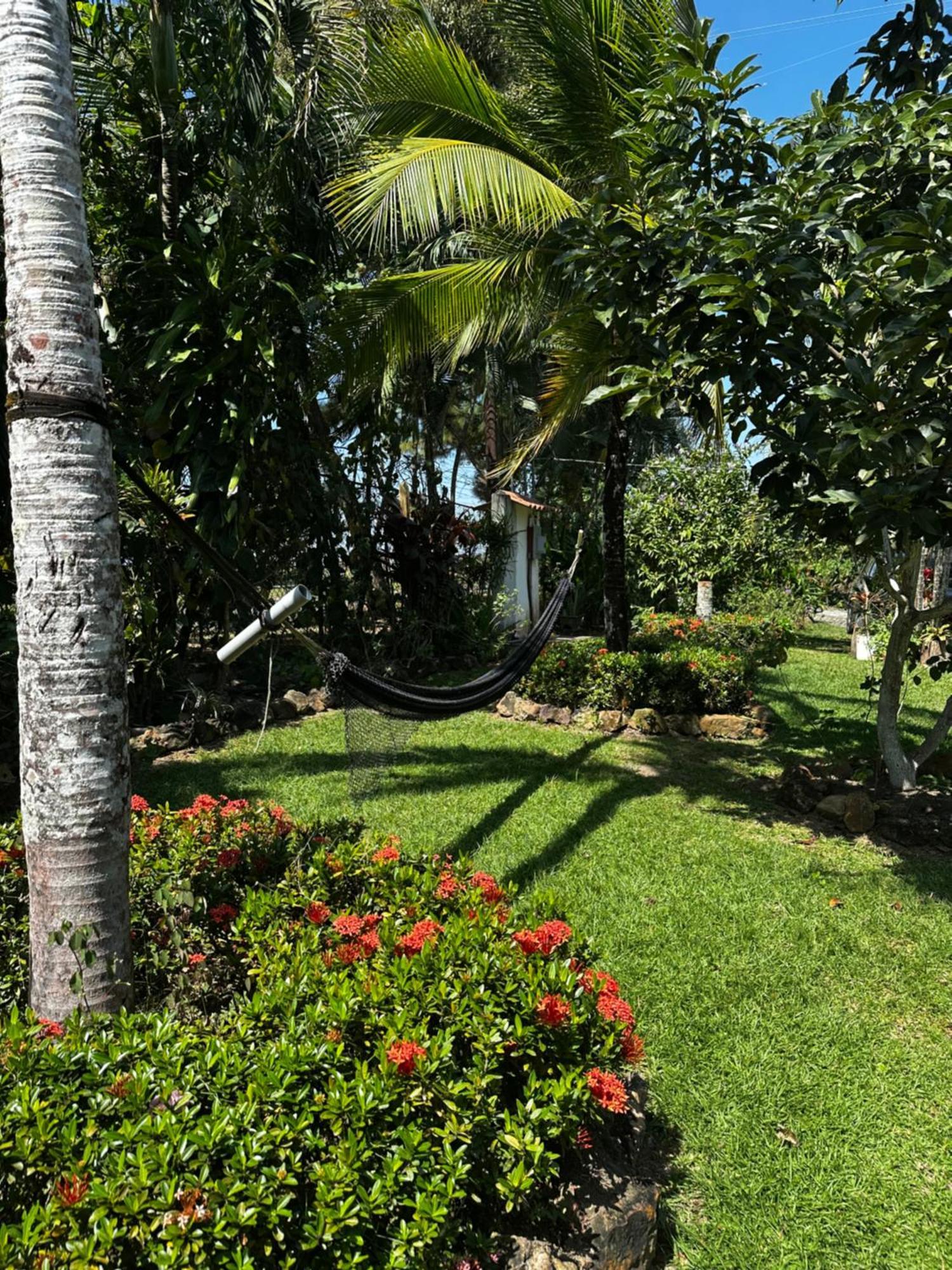 A Piece Of Paradise 圣卡洛斯 外观 照片