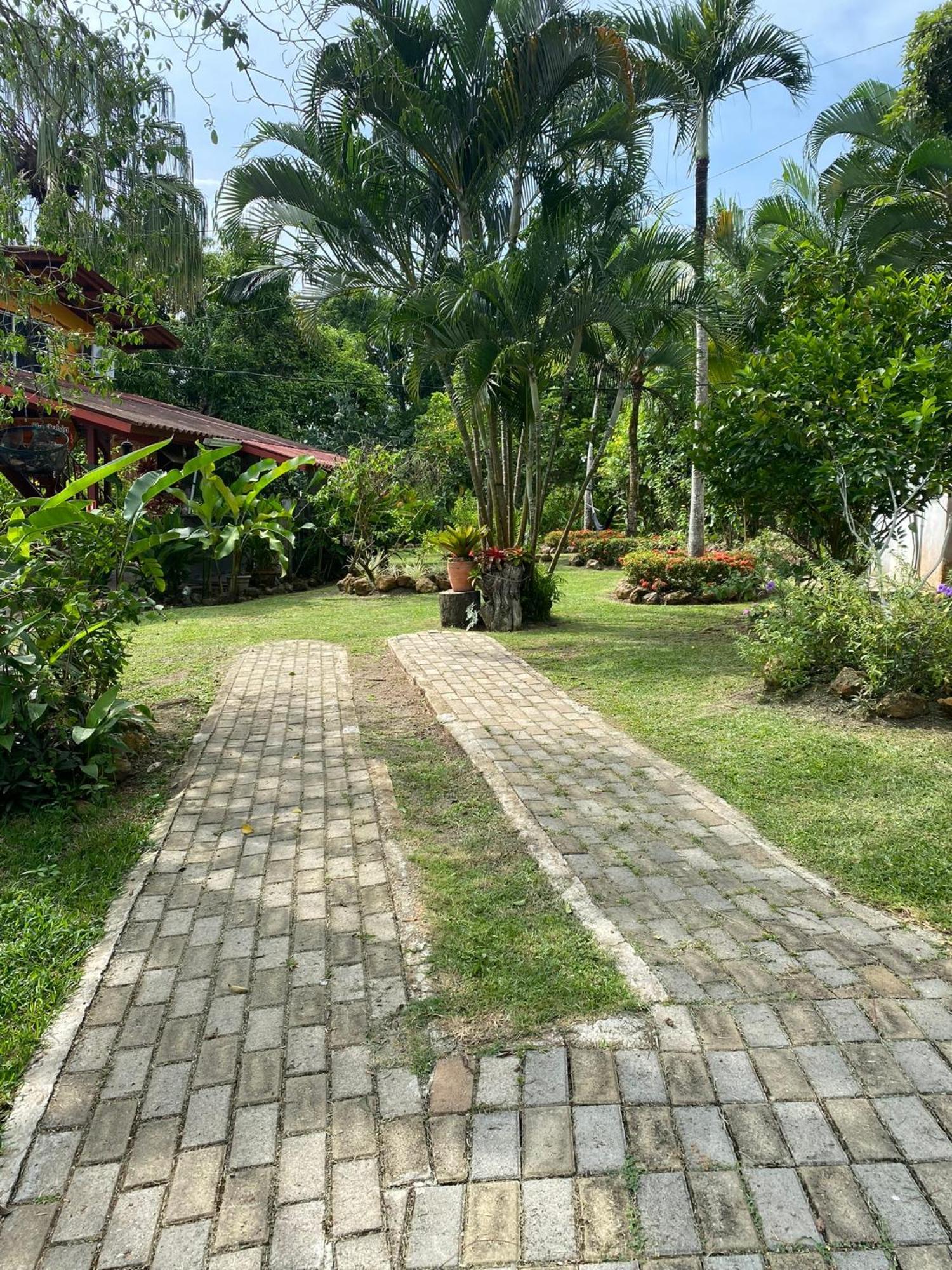 A Piece Of Paradise 圣卡洛斯 外观 照片
