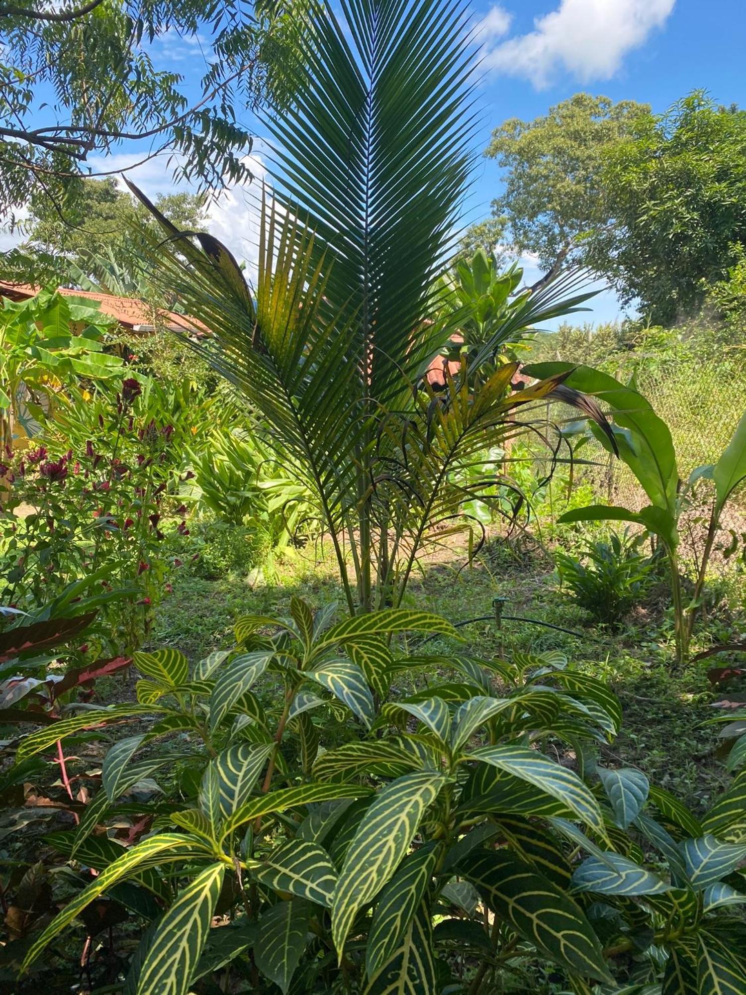 A Piece Of Paradise 圣卡洛斯 外观 照片